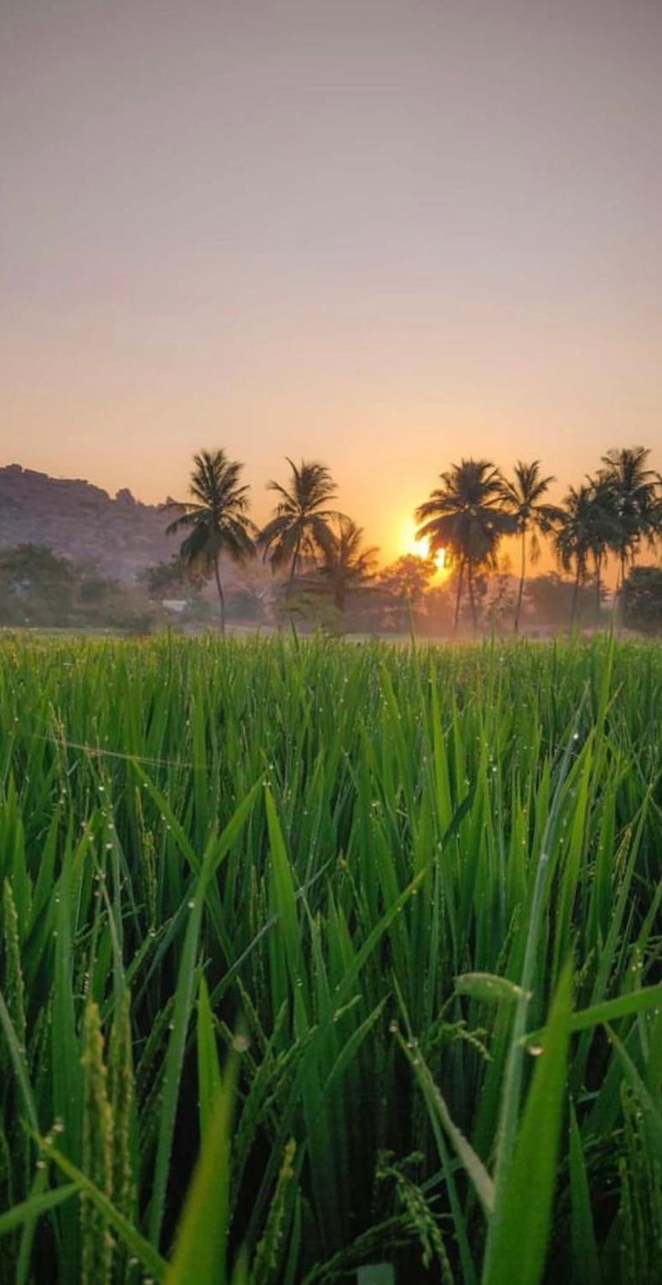 Sunrise Guest House & Restaurant Hampi Exterior photo